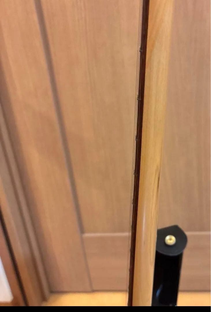 FERNANDES FGZ400 ゴールドパーツ仕様 トレモロアーム ケース付 - メルカリ