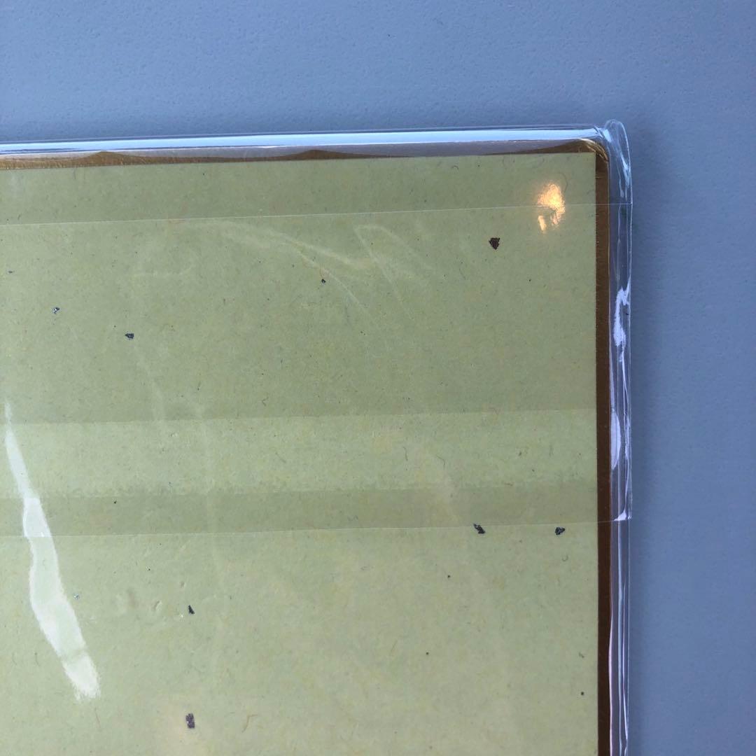 Vtuber 飯田ぽち。 3D化記念グッズ　直筆サイン色紙 メロブ