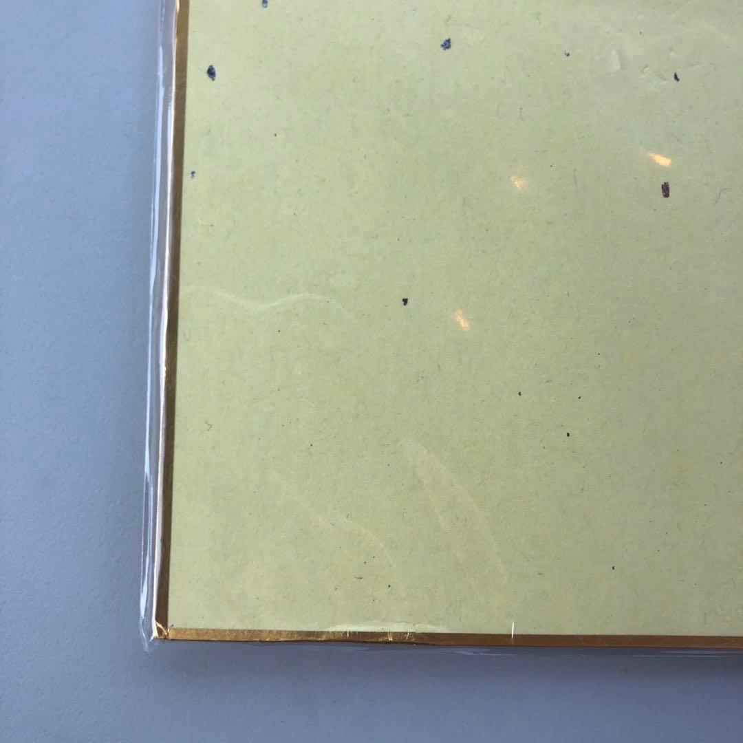 Vtuber 飯田ぽち。 3D化記念グッズ　直筆サイン色紙 メロブ