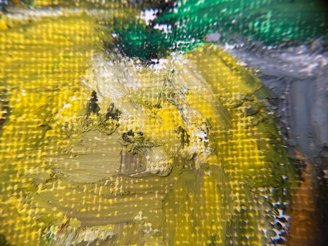 静かな実り｜柚子の小品原画（2025）