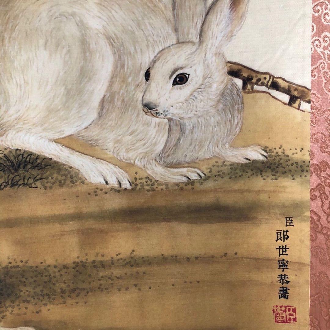 郎世宁 兎図 掛け軸｜三尺中堂｜十二生肖・卯｜表装済み - メルカリ