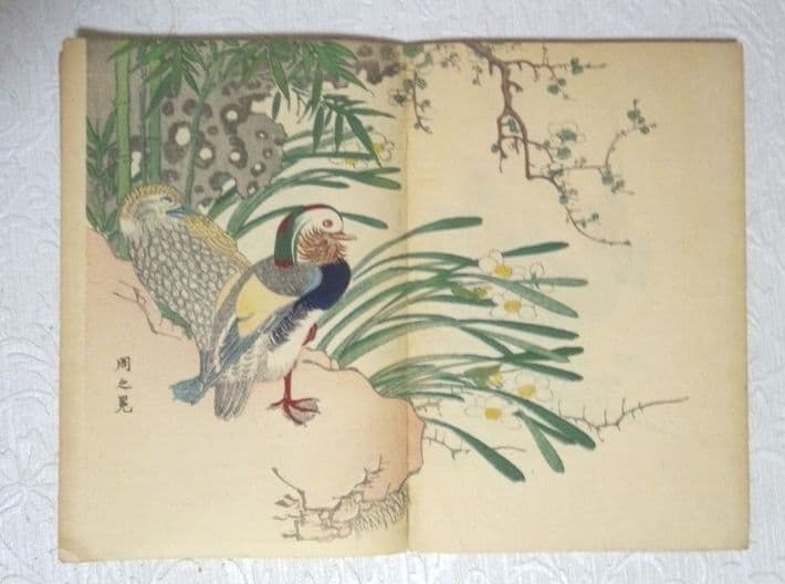 彩色木版画画帖本竹洞花鳥畫譜初版中林竹洞名古屋の