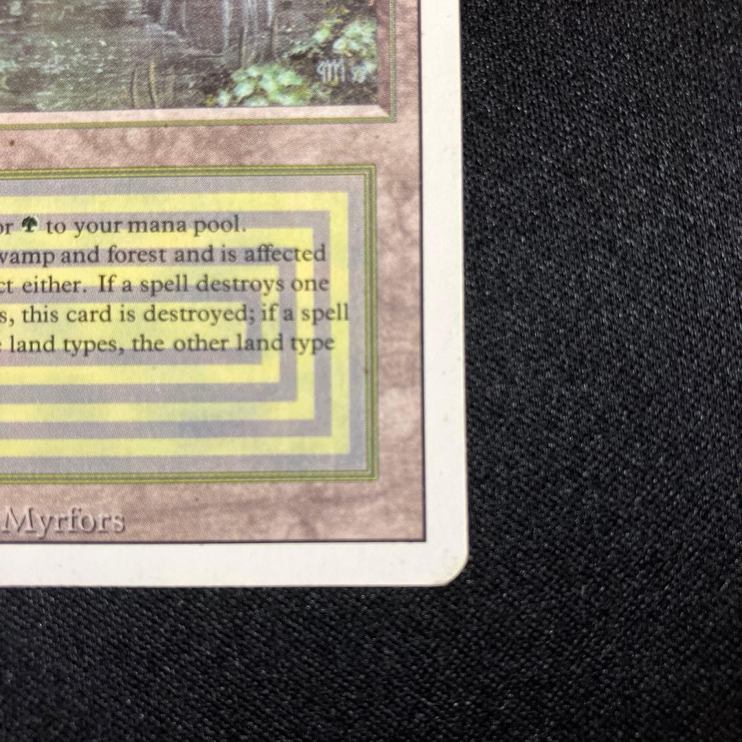 mtg Bayou 【3ED】 リバイズド 英語版 1枚 デュアルランド