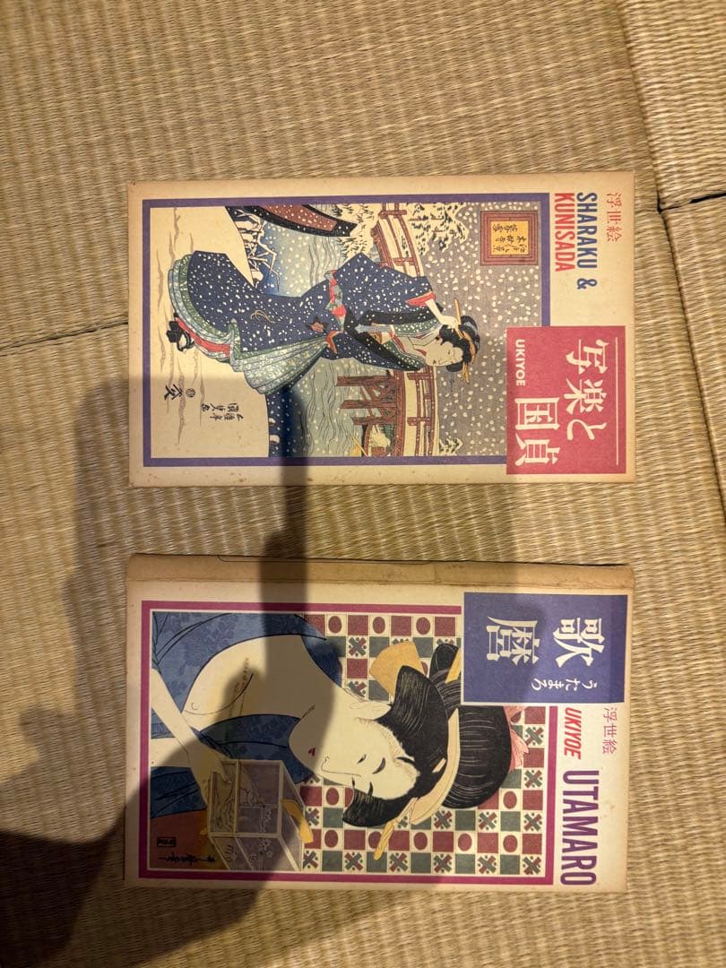 古い切符 コレクション 大量 詳細不明