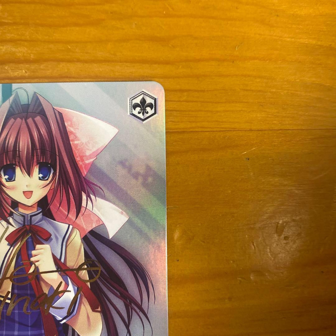 くすぐったい毎日 音姫 SPAmazon.co.jp: ヴァイスシュヴァルツ