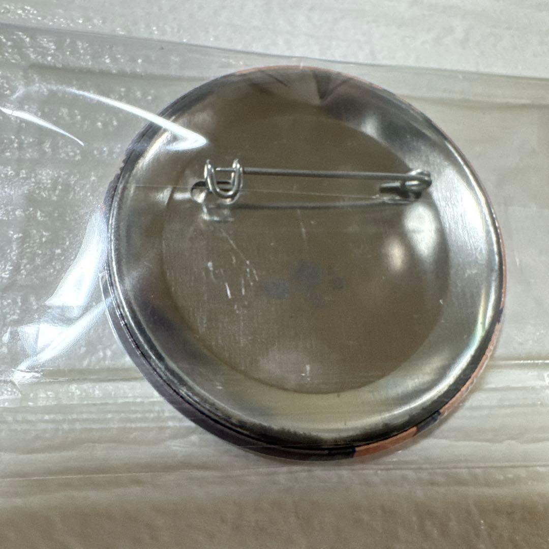 REBORN 缶バッジ　まとめ売り　ザンザス多め