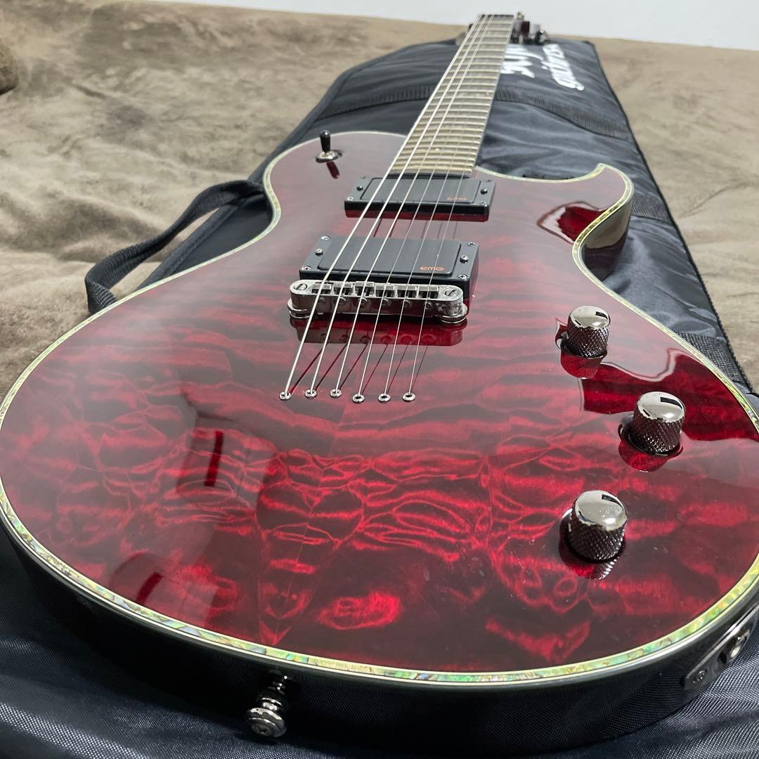 シェクター ギター EMG ケース付き - メルカリ