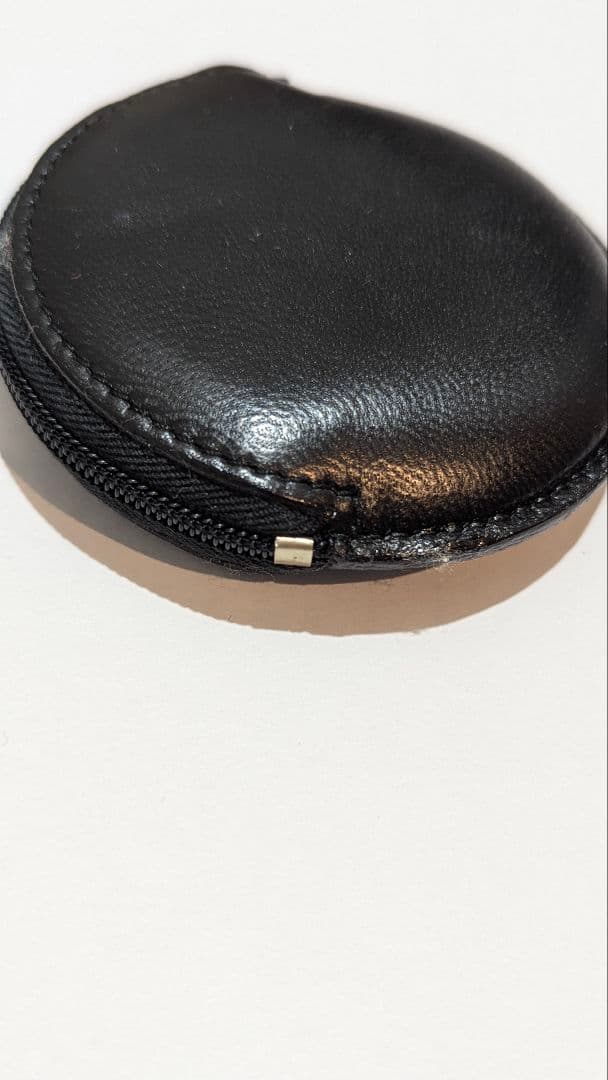 【美品】LOEWE シルバー ラウンドケース　ロエベ