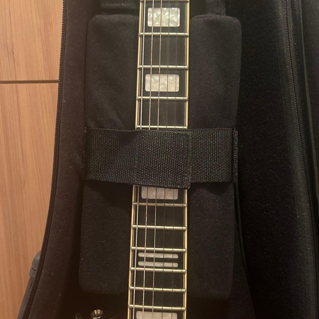 エレキギター ハムバッカー ビグスビー レスポールタイプ