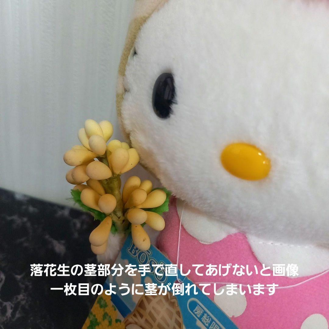 ご当地キティ 房総限定 ぬいぐるみ 落花生 ピーナッツ ご当地キティ