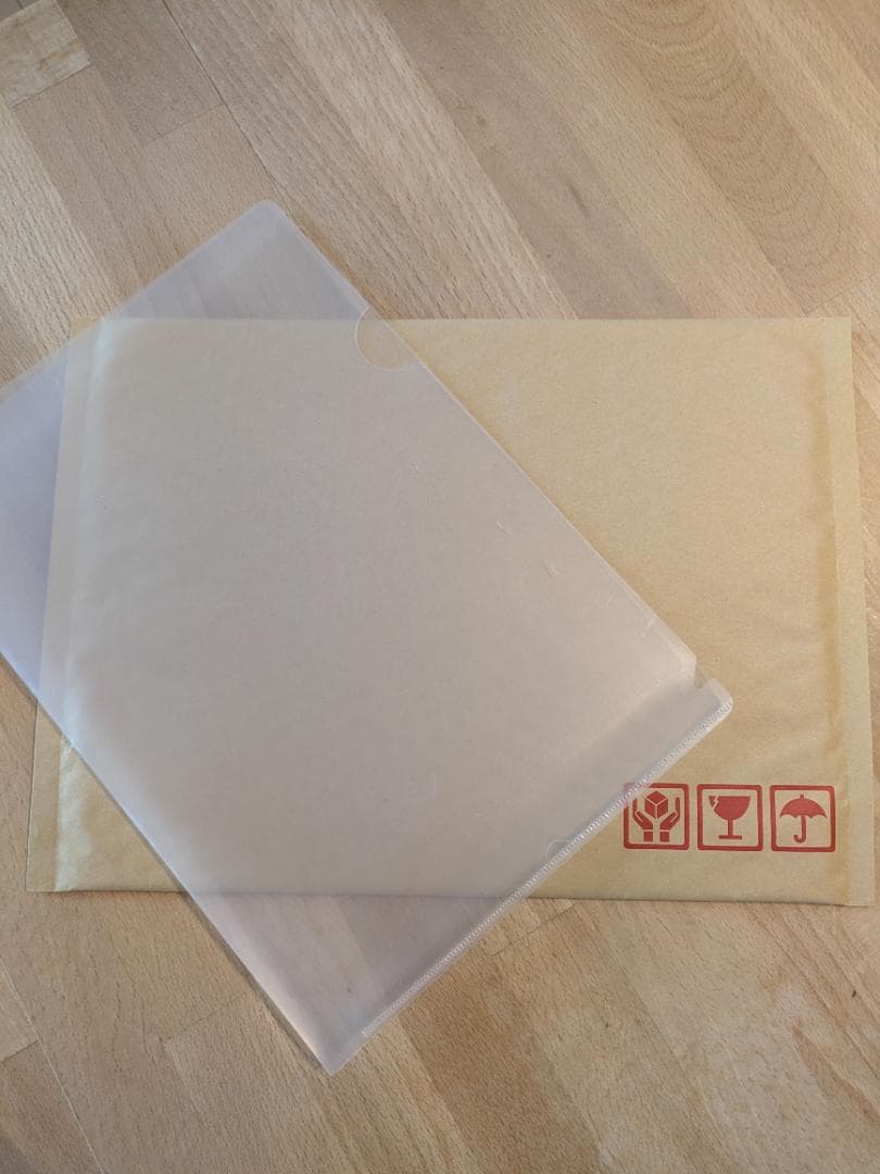 映画チラシ 85年公開 死霊のえじき SFXホラー・サバイバル映画 B5フライヤ