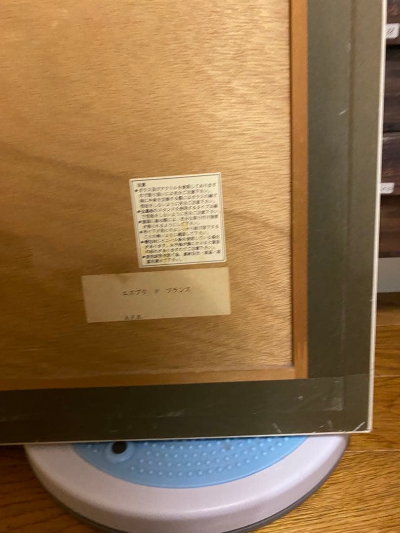 レイモン・サヴィニャック エスプリドフランス 690x540 リトグラフ