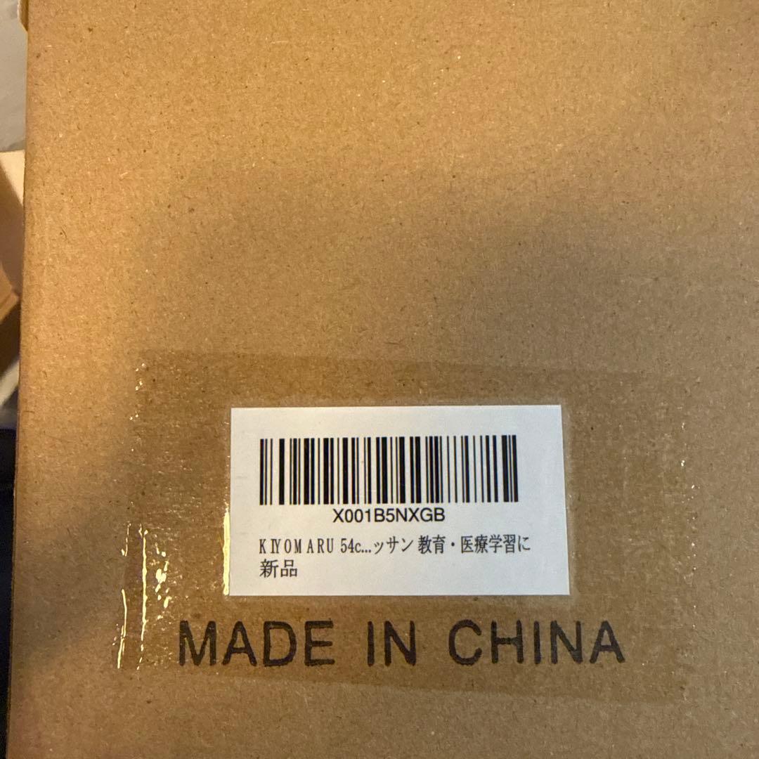 KIYOMARU 54cmのリアルな筋肉人体模型 約1/4サイズ