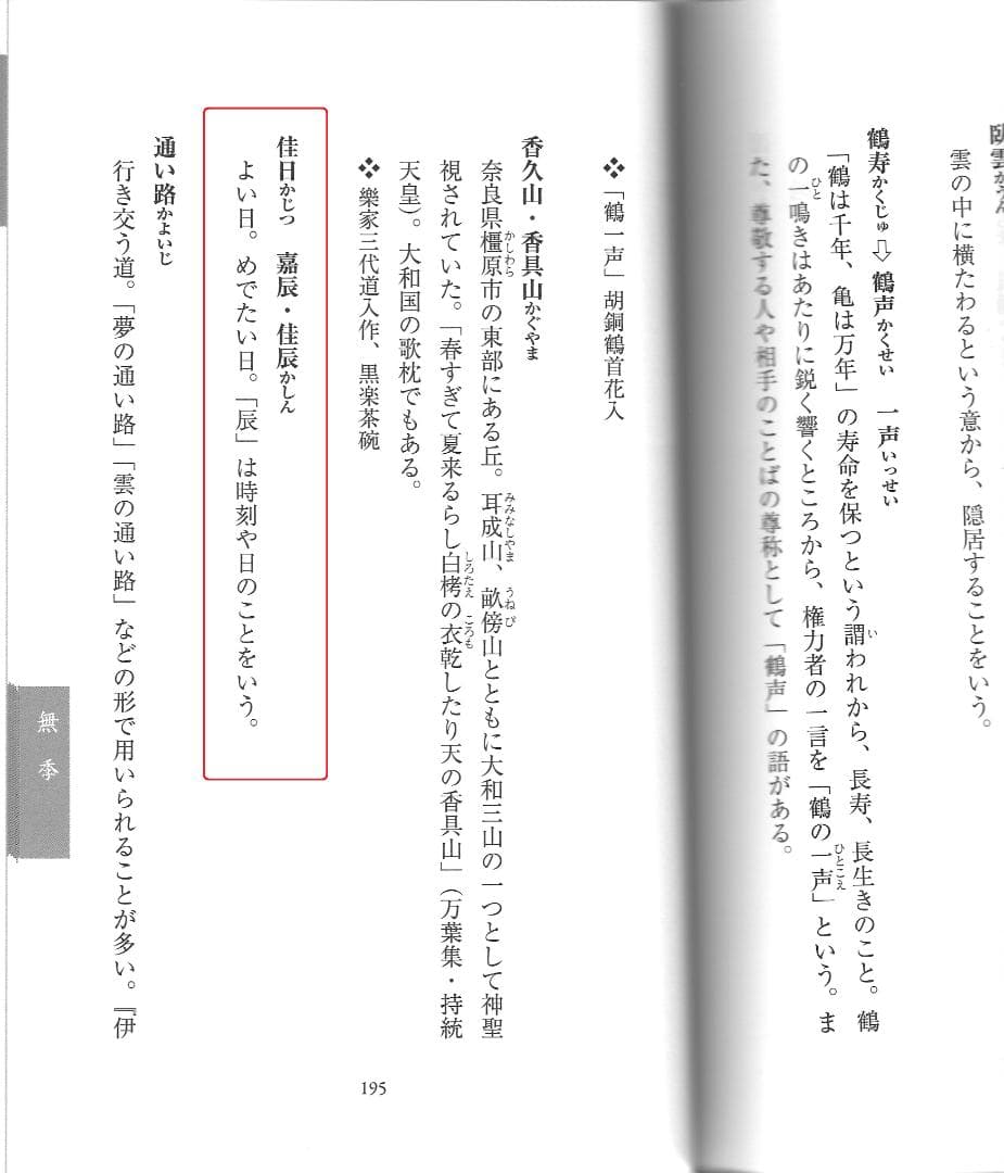 臨済宗大徳寺派芳春院住職 秋吉則洲造『竹茶杓』銘：佳日（共箱