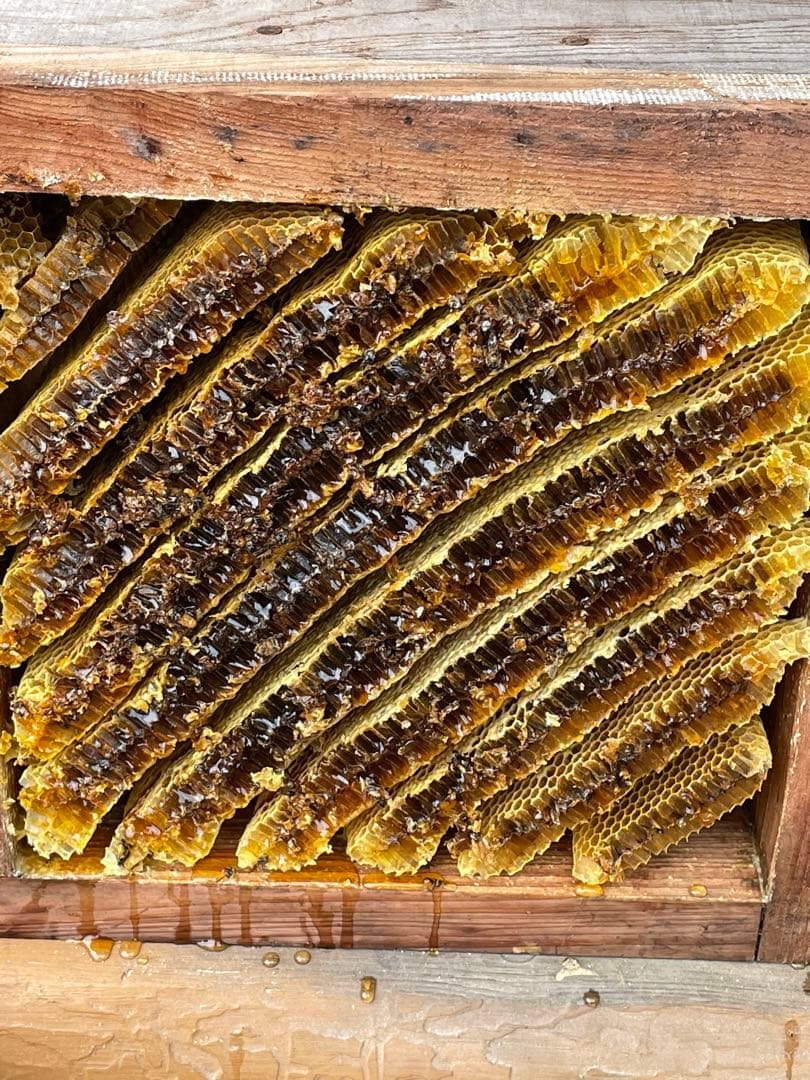 日本蜜蜂重箱式巣箱ハニーズハウス！超訳あり特価！二セット！送料無料