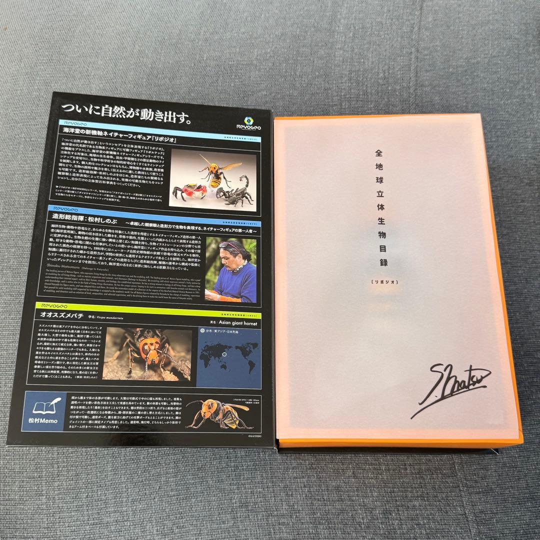 ‼️希少‼️ 海洋堂 リボジオ オオスズメバチ 標本