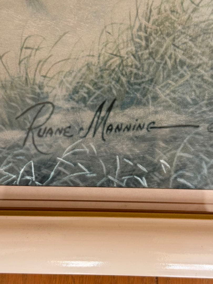 ルアーン・マニング　馬の絵画 白フレーム付き