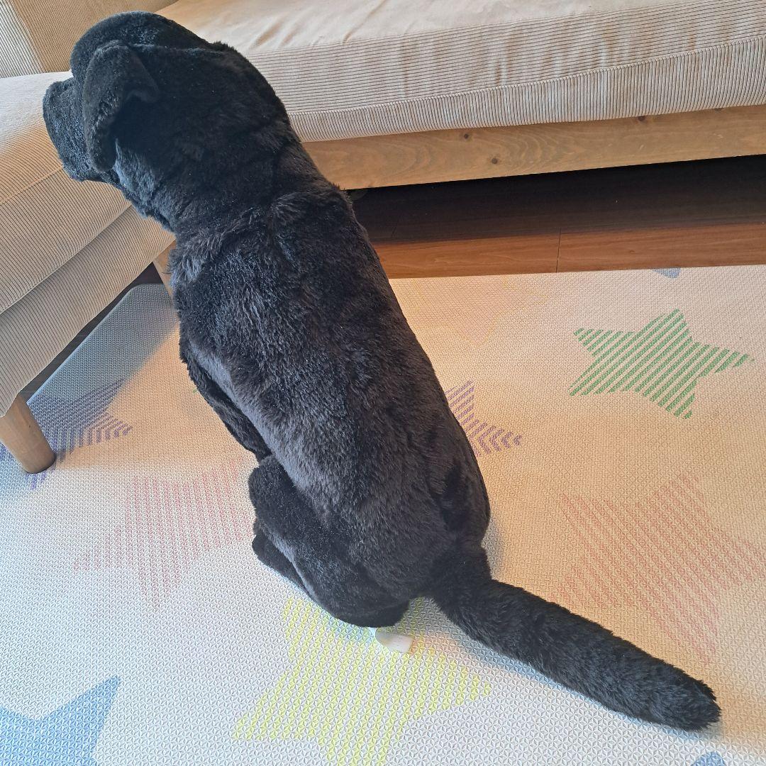 ラブラドール　アニマルアレイ　ぬいぐるみ　ブラック　等身大　ビッグサイズ　犬　黒