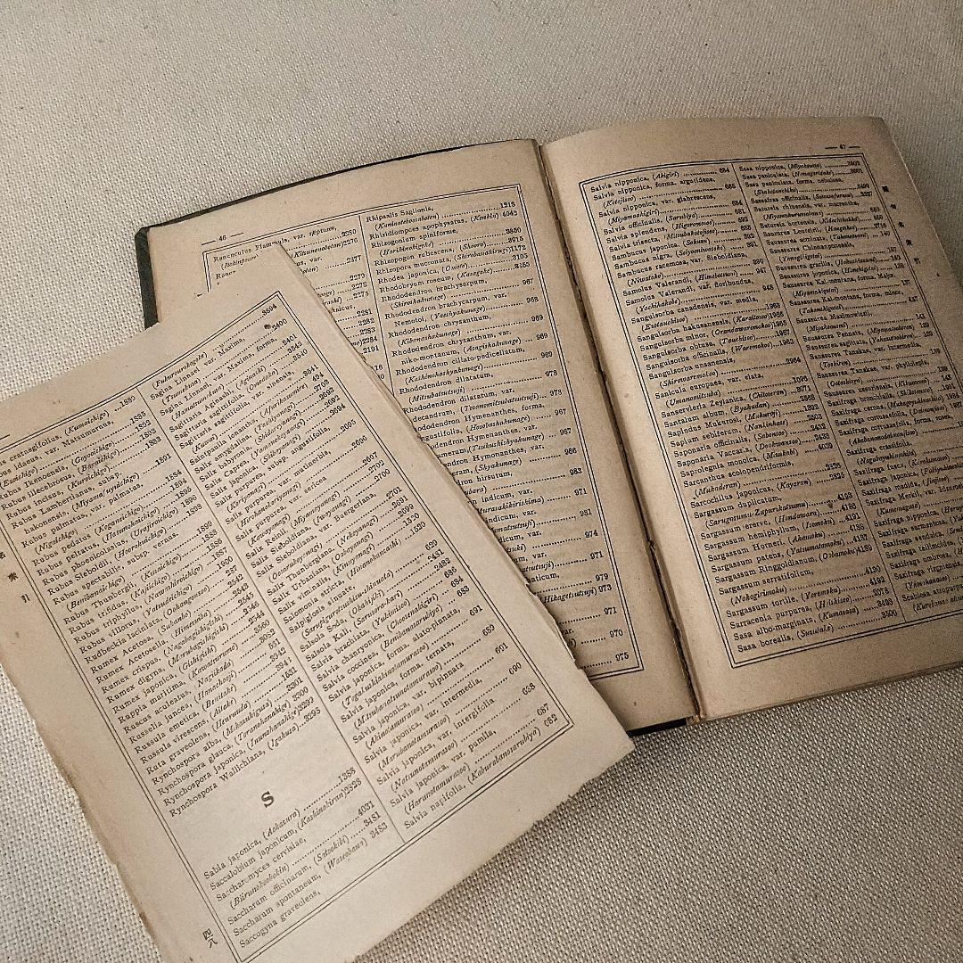 戦前・初版本】大植物圖鑑 昭和十六年 らんまん・牧野富太郎ライバル