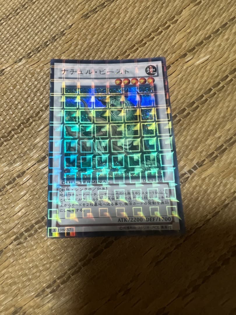 ナチュルビースト DTC シークレット C991005866 価格