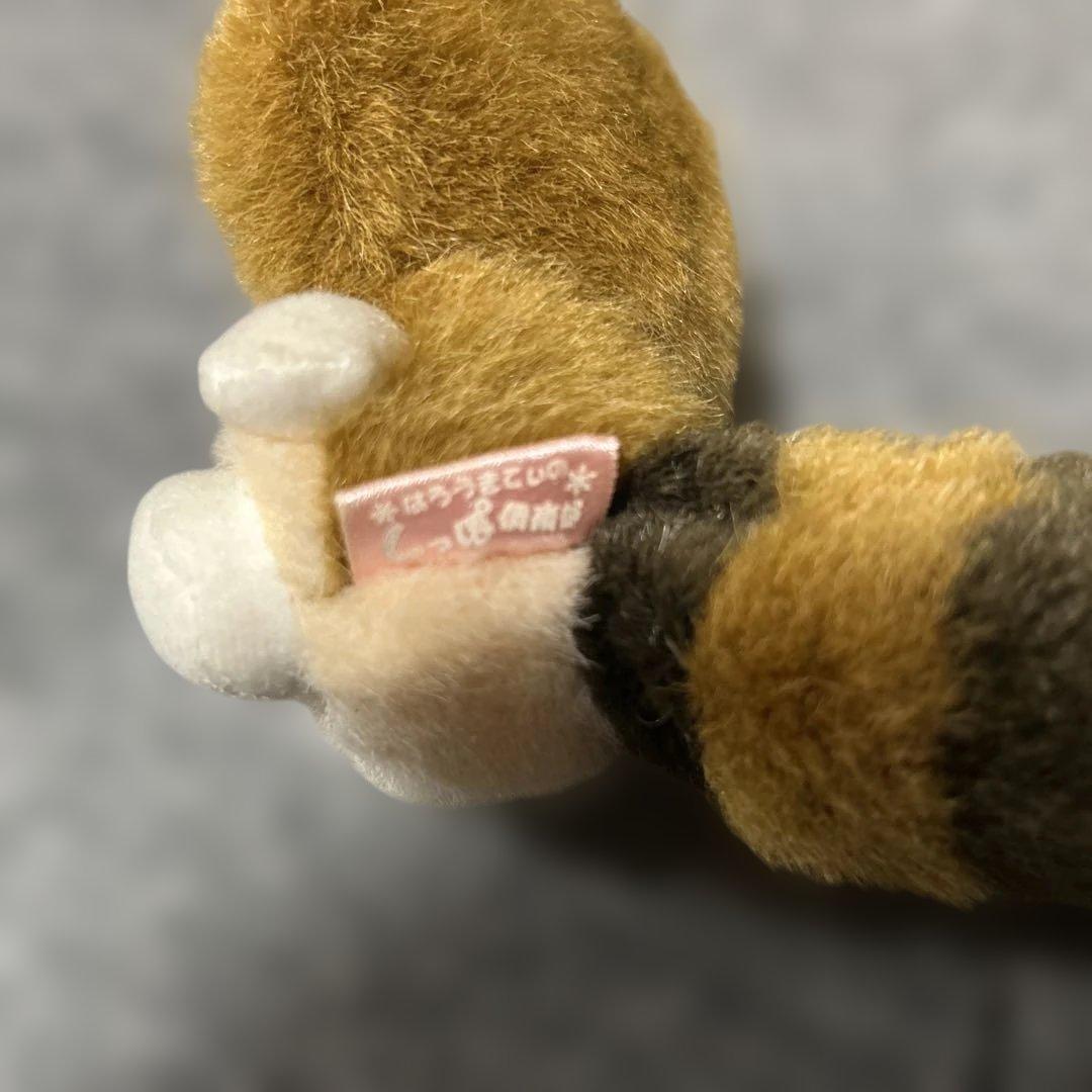 【匿名配送】ハローキティしっぽ倶楽部アライグママスコットキーホルダー