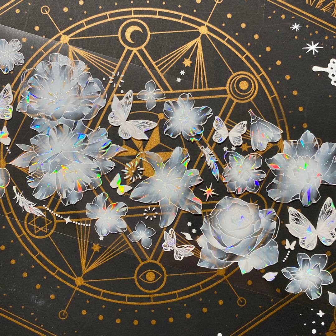 9253】海外 マステ 中古巻 貝殻光マスキングテープ 半透明 お花 - メルカリ