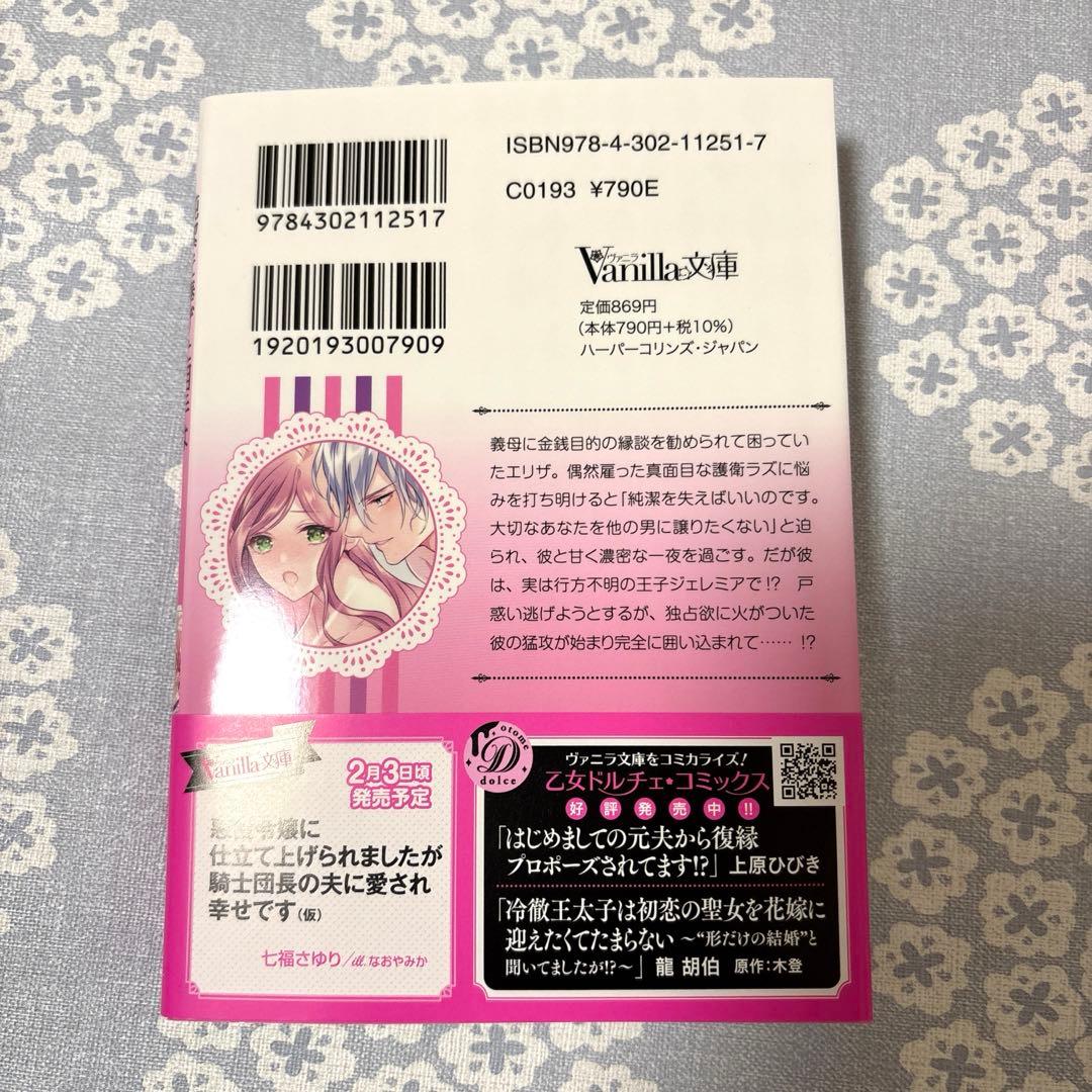 専用】新刊 エタニティブックス・ルネッタブックス・蜜夢文庫