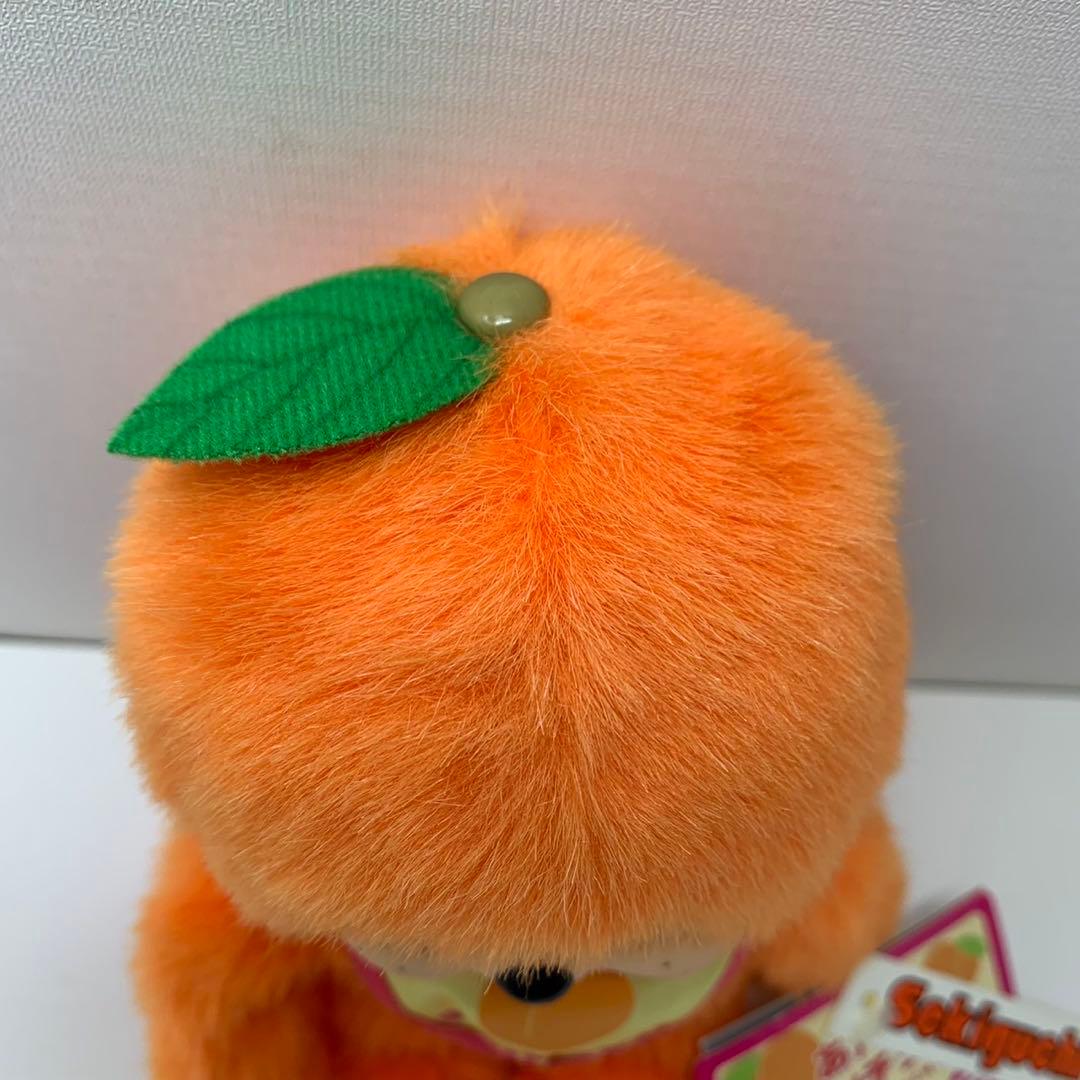 新品 信州限定 あんず モンチッチ monchhichi 3175