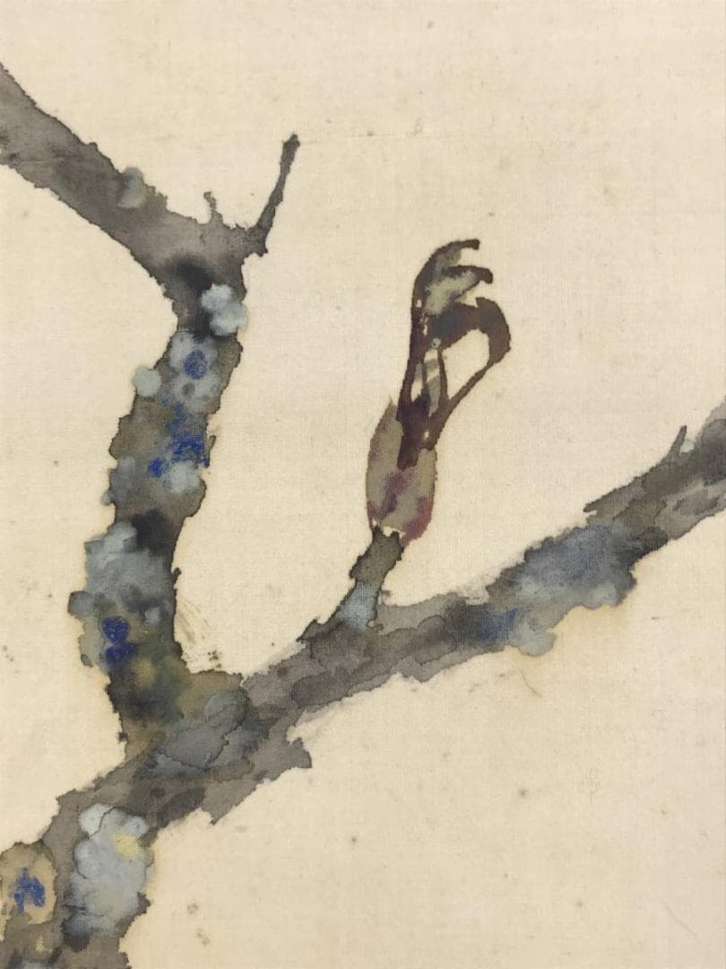 【真作】藤井松山/芽牡丹図/牡丹図/花図/横物/掛軸☆宝船☆AD-454