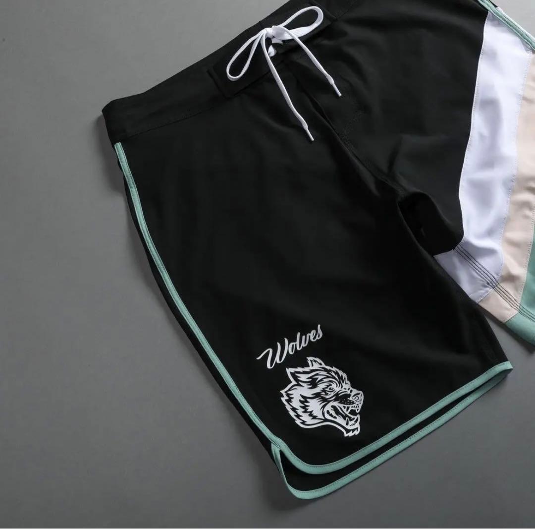 激レア】ダルクスポーツサーフパンツ ステージ ショーツ30インチ