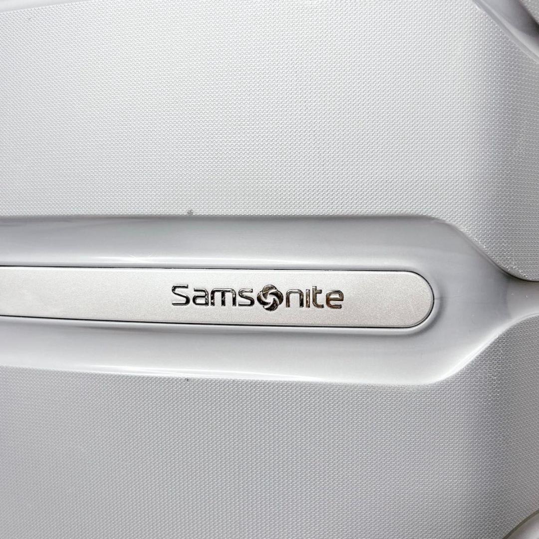 サムソナイト freeform フリーフォーム ライトグレー スーツケース