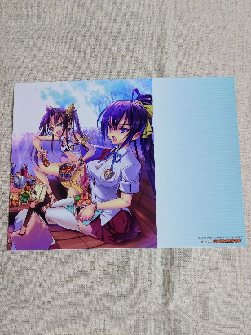 インフィニット・ストラトス 特典ブックカバー 8枚セット