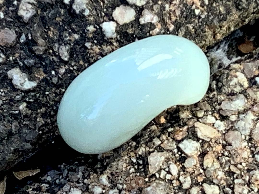 ✳摩訶不思議 氷紋様‼️開運勾玉糸魚川翡翠ジェダイト本物の鑑定鑑別