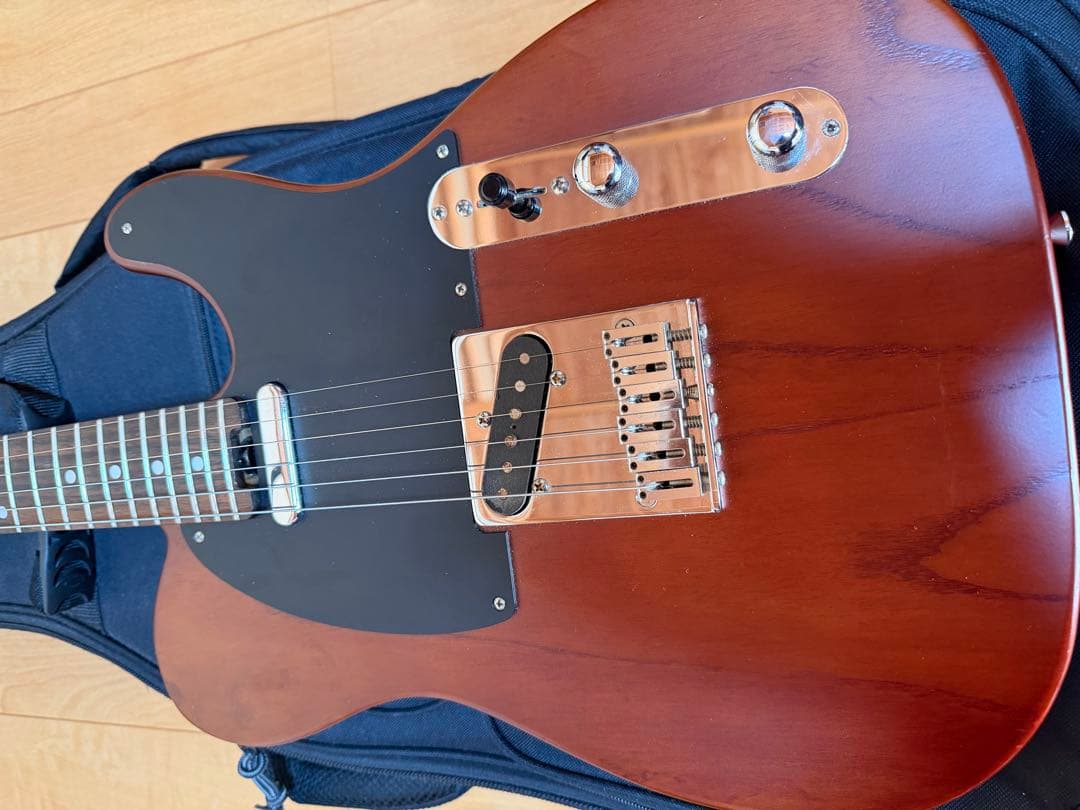 SCHECTER PROGAUGE PS-S-PT ロック式ペッグ交換済み品 - メルカリ