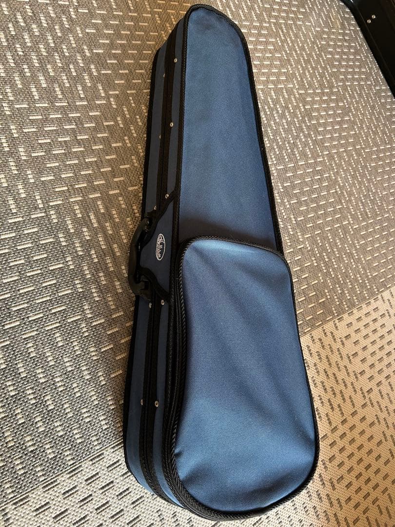 美品 Hallstatt ハルシュタット エレキバイオリンCV-210Eブラック