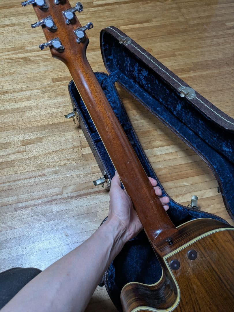 レア】タコマ TACOMA Chief C3C