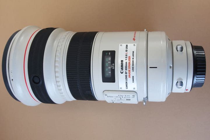 キヤノン EF300mm F2.8L USM 2xエクステンダー付 キヤノン EF300mm F2