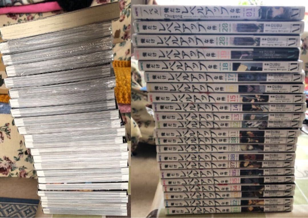 全巻初版帯特典付き 1～22巻 俺だけレベルアップな件 ノベル 小説