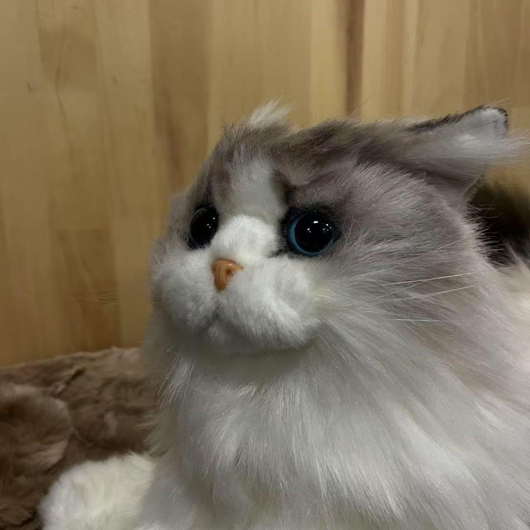 なでなでねこちゃんEX ラグドール