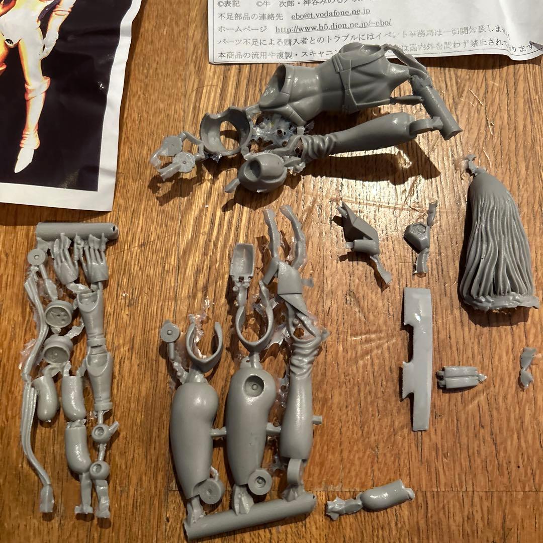 プラレス3四郎　桜姫　フル可動　ガレージキット