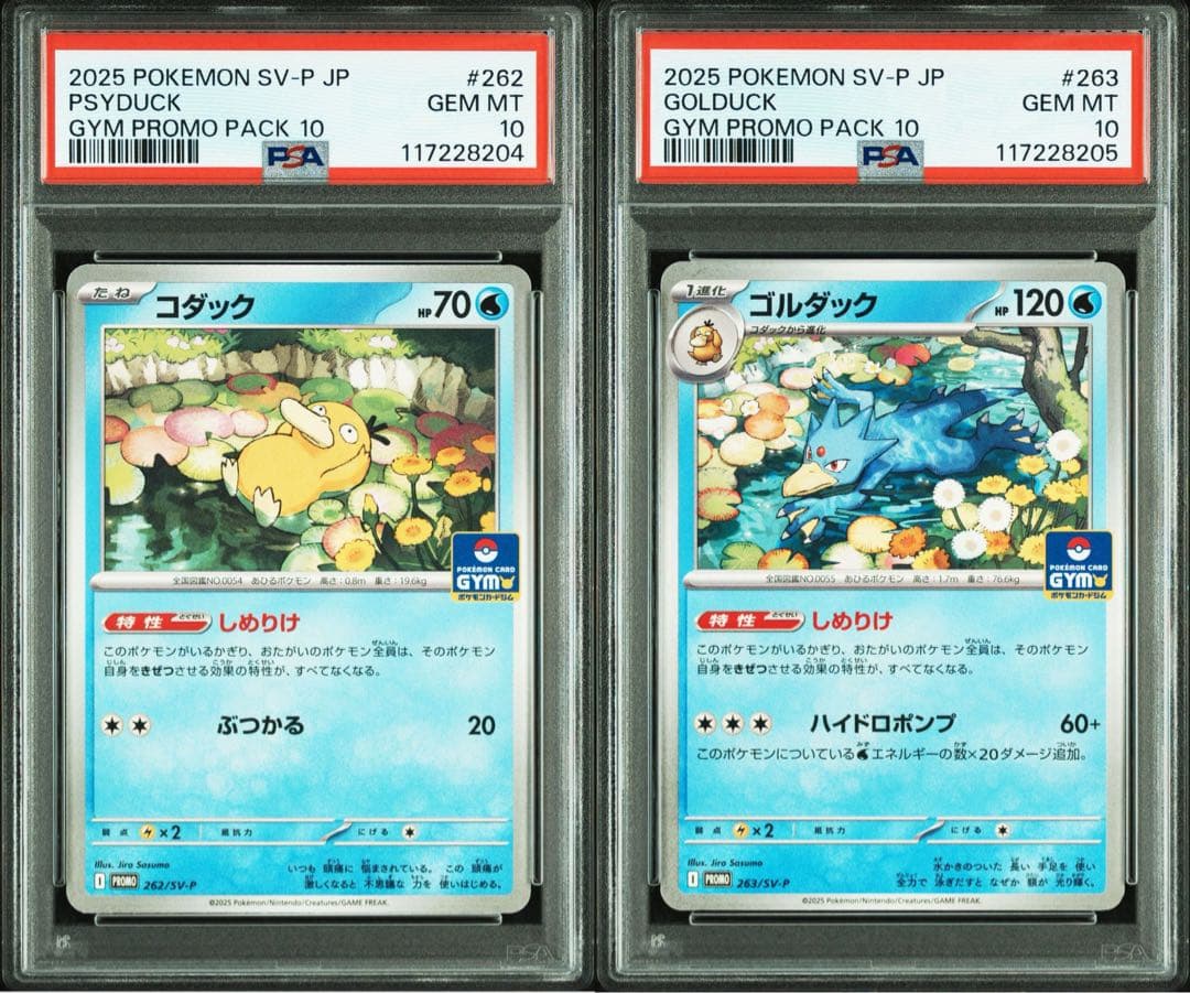 ポケモンカード コダック ゴルダック しめりけ プロモ 連番 psa10 ⑤
