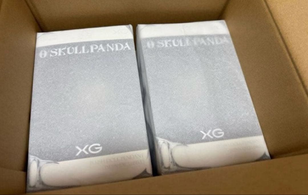 SKULL PANDA XGコラボ ぬいぐるみペンダント 日本限定 10個セット SKULLPANDA × XG ぬいぐるみペンダント（日本限定） - POP MART (Japan)