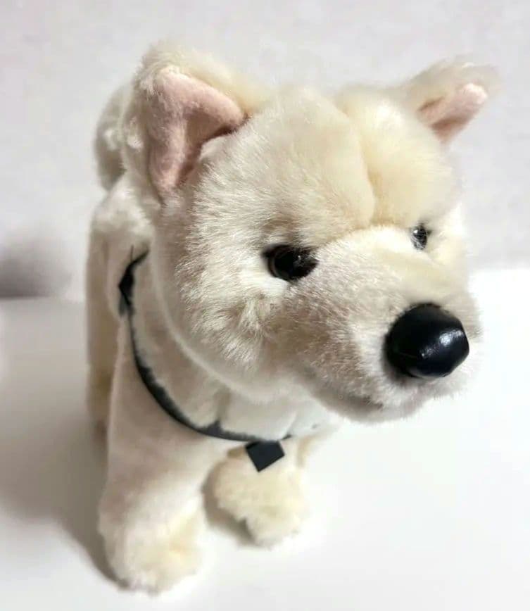 レア 国立科学博物館 秋田犬 ハチ ぬいぐるみ おすわり ハチ号