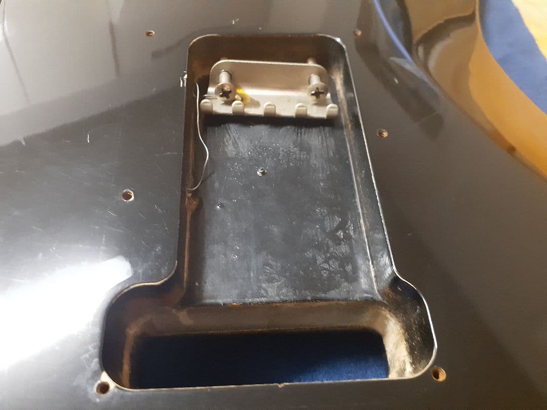 ス*モ様 Bill Lawrence BCOR-55 シャケ RED WARRI