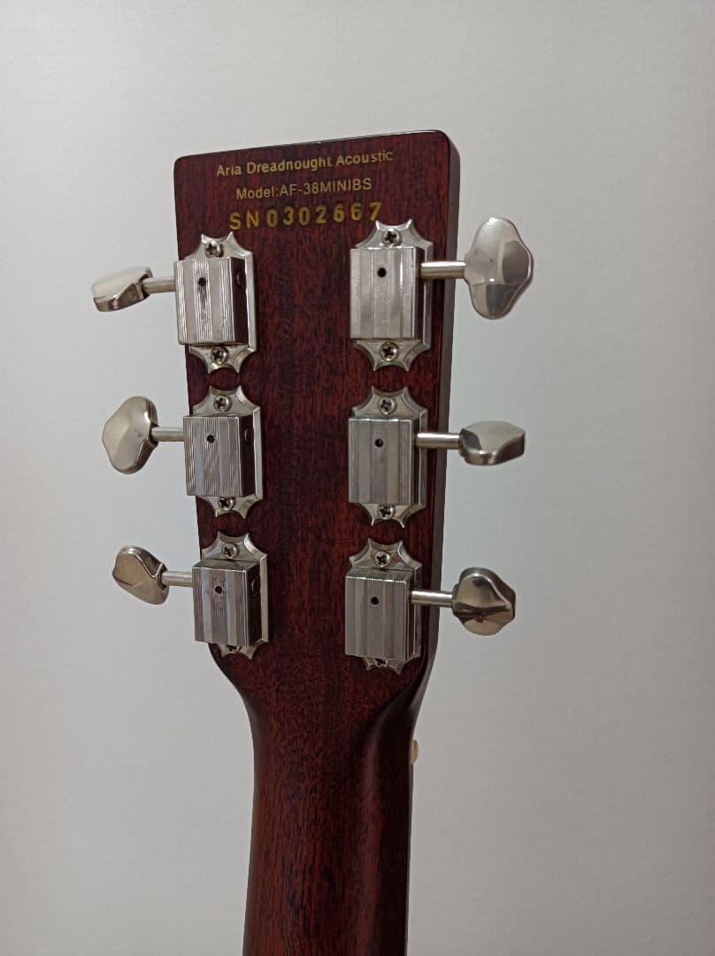 aria dreadnought AF-38mini オール単板 - メルカリ