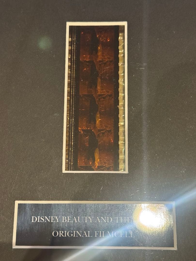 Disney 35mm フィルム　ディズニー　美女と野獣　額装　映画　アニメ