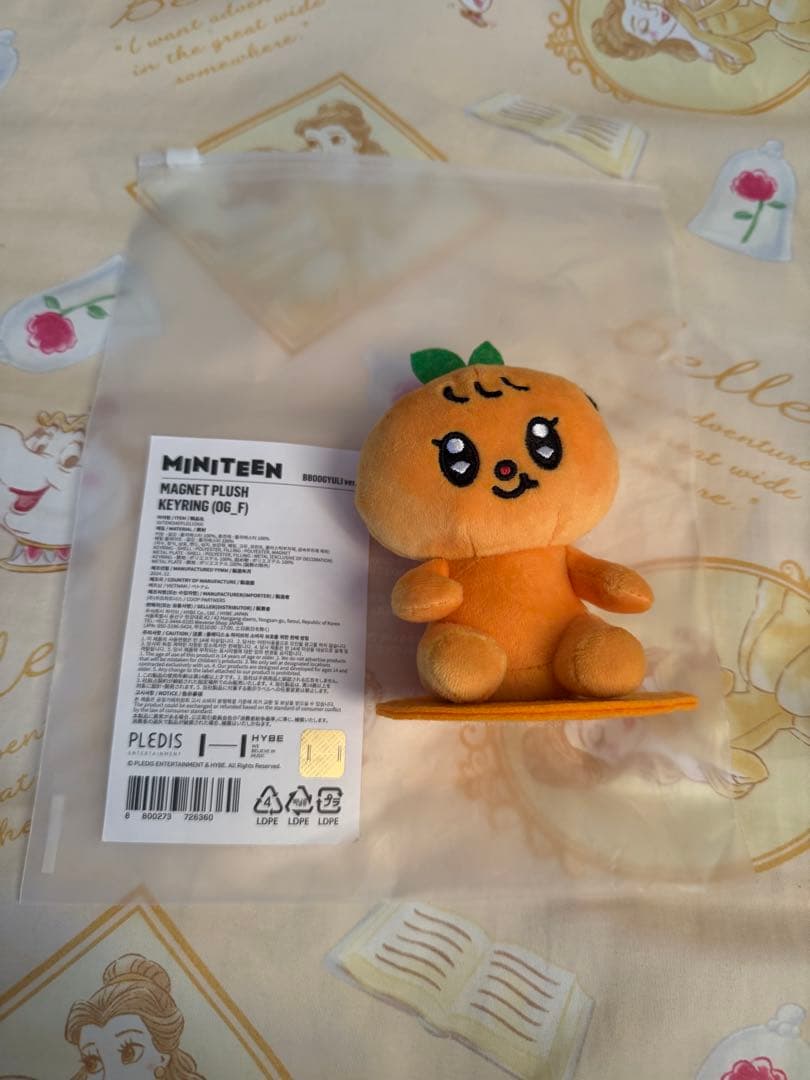 MINITEEN プギュリ スングァン seventeen ミニティーン プギュリ