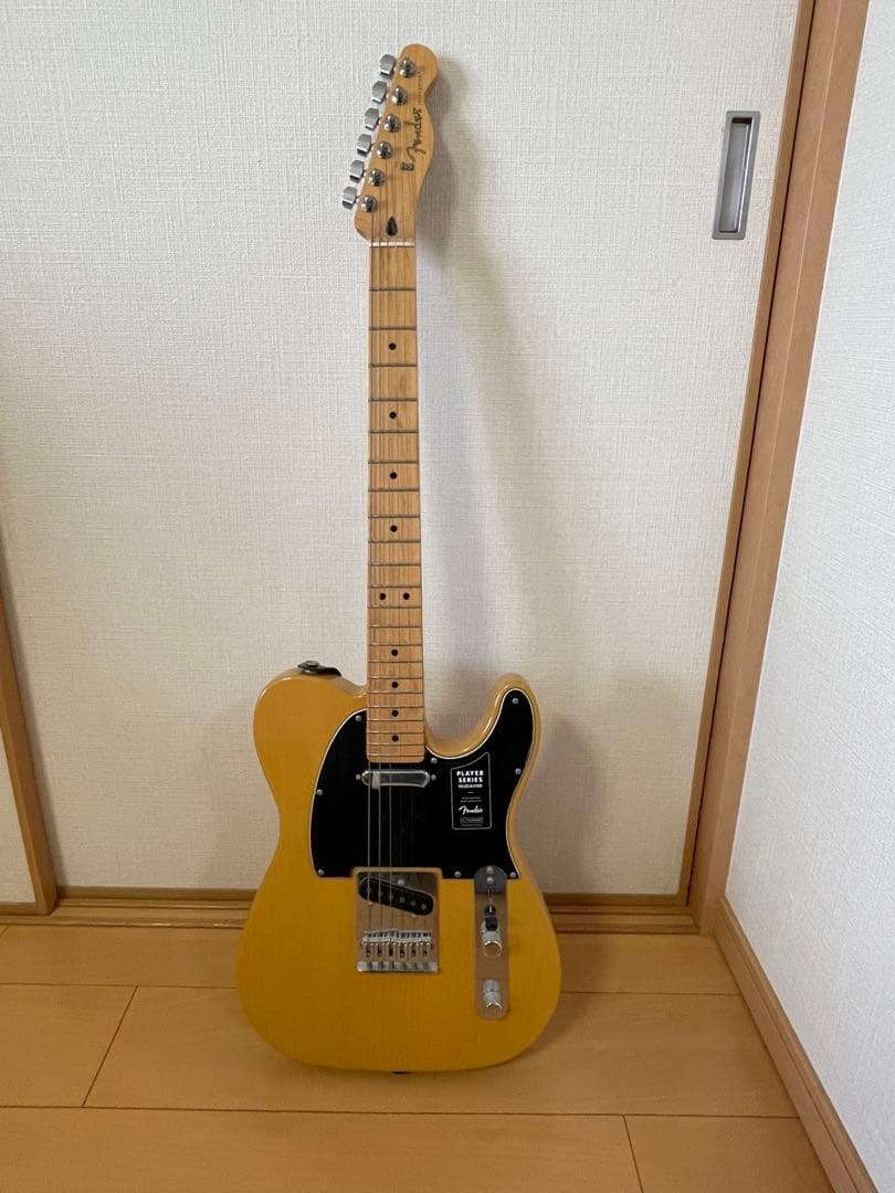 フェンダー Fender社製　テレキャスター Telecaster Amazon.co.jp: Fender エレキギター Player Telecaster®, Pau Ferro
