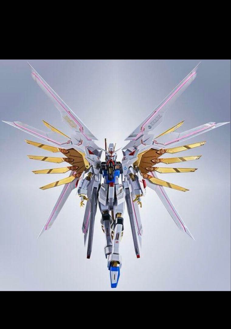 メタルロボット魂 ストライクフリーダムガンダム弐式&プラウド