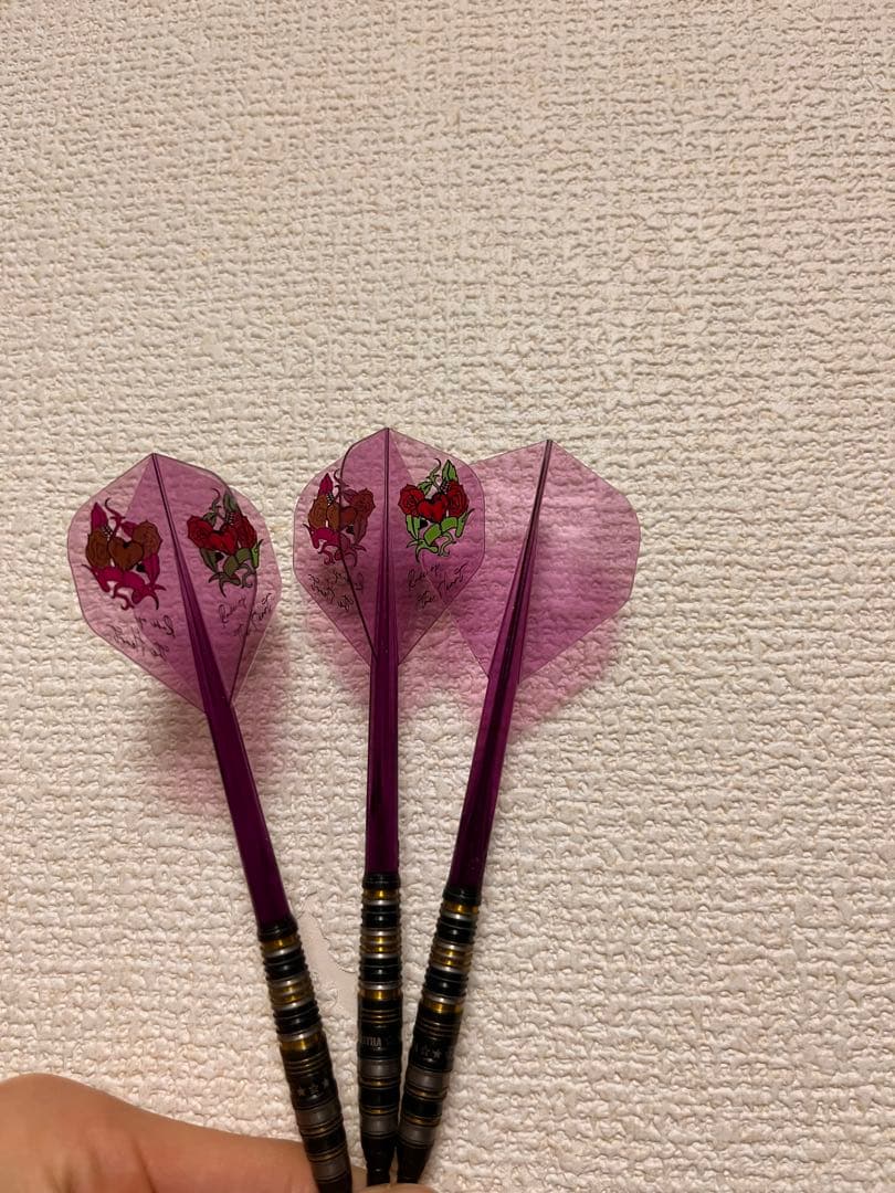 ASTRA DYNASTY ダーツセット 紫 フライト、透明ケース付き